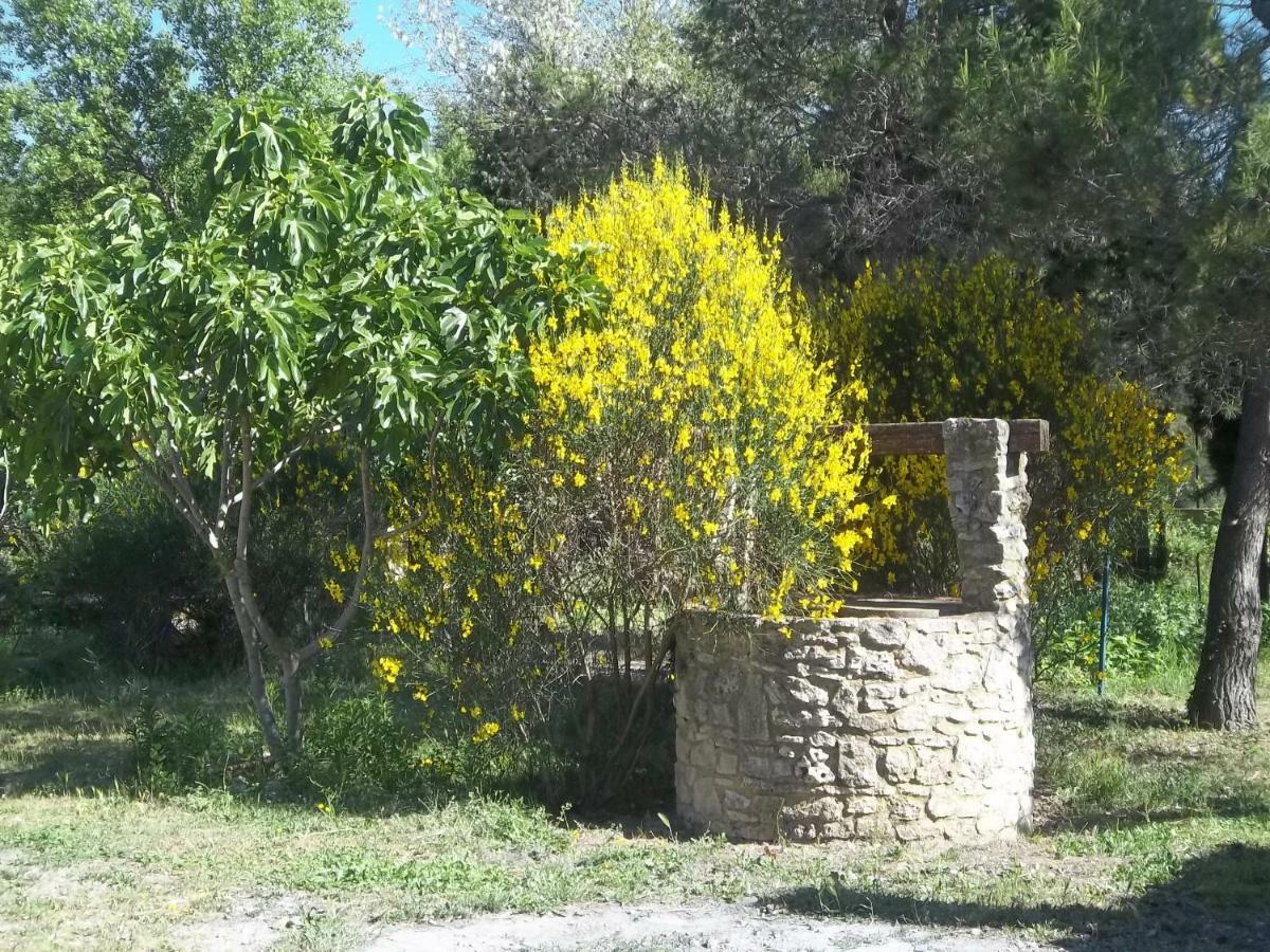 B&B Le Petit Frigouye Rochefort-du-Gard Exterior photo